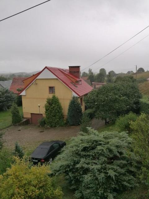 Appartamento U Zbyszka Kamienna Gora Esterno foto