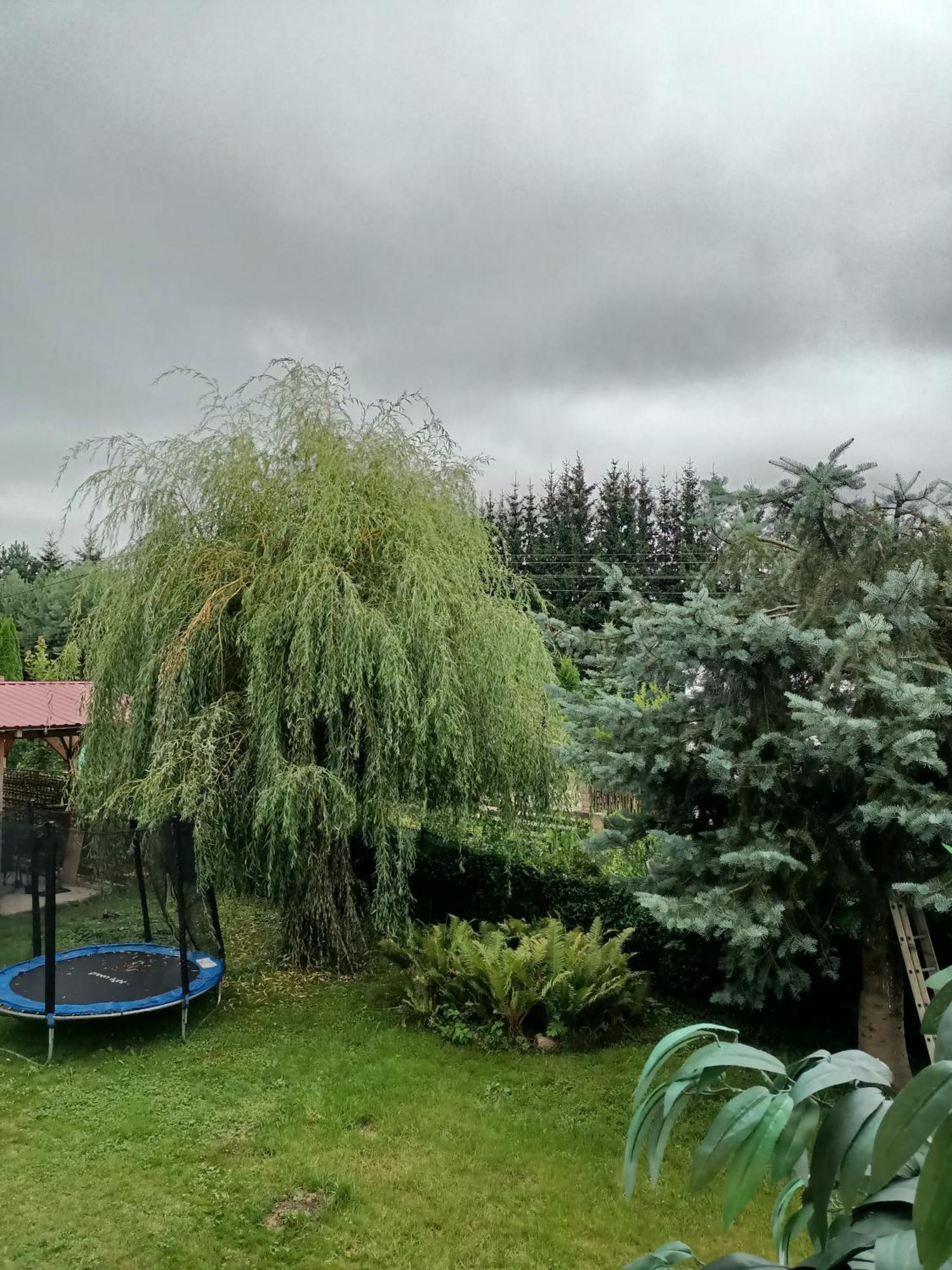 Appartamento U Zbyszka Kamienna Gora Camera foto